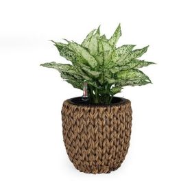 10.6" Self-watering Wicker Planter - Garden Decoration Pot - Dark Brown - Round
