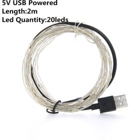 Christmas Light Led Outdoor Battery USB Powered 2m 5m10m String Lights Cooper Wire Garland Wedding Party Decoration Fairy Lights (Option: Red-2m USB)