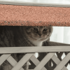 Indoor/Outdoor Cat House 2-Story Wooden Kitten Condo With Balcony Roof